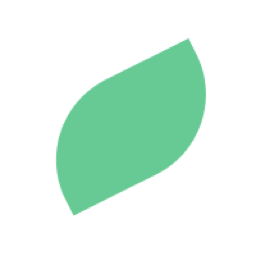 Mint logo