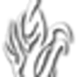 Phoenix logo